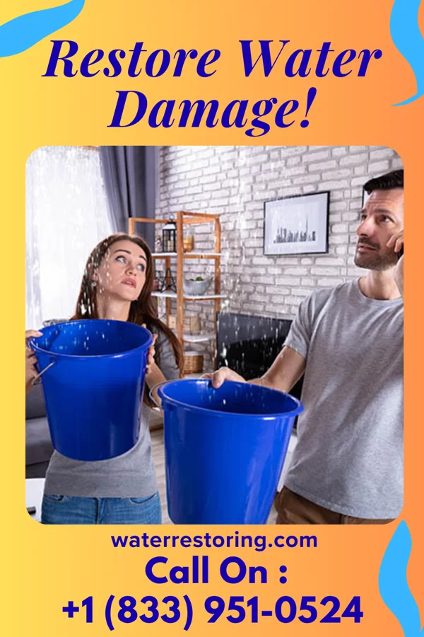 water restoration Silver Damage Recovery Pros Lawrence