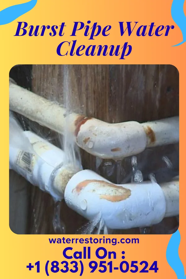 Burst Pipe Water Cleanup in Lawrence, MA