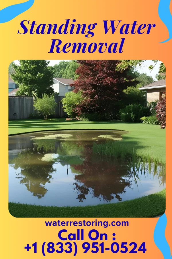 Standing Water Removal in Lawrence, MA